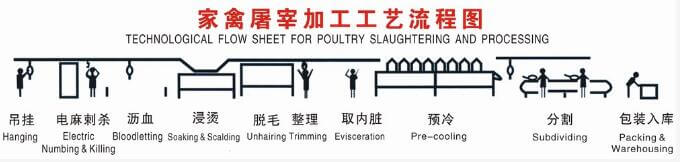 大规模屠宰场加工